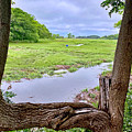 Namskaket Marsh