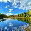 Reflection in Fletchers Pond