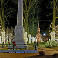 Shrewsbury Town Common 